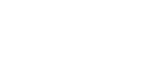 Schloss Wiligrad Logo